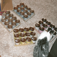 Siberians with a whole lot of cat food