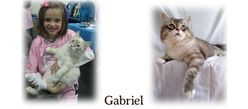 Gabriel the kitten and cat