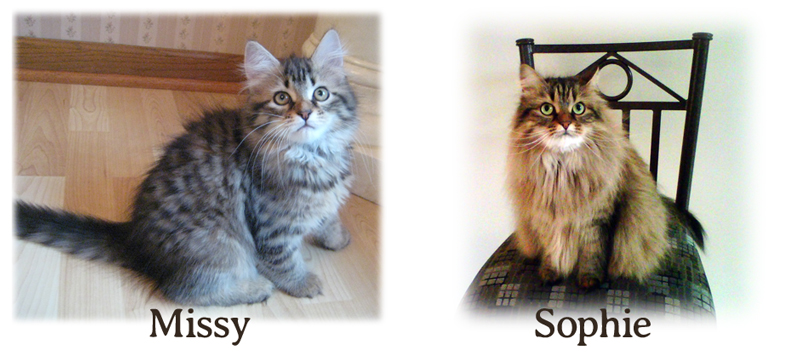 Sopie the Siberian